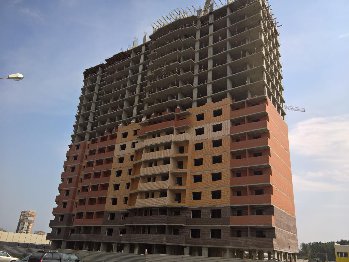 WP_20160716_09_45_51_Rich.jpg