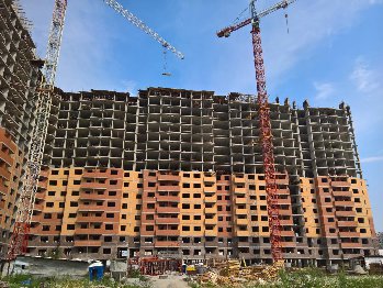 WP_20160716_09_43_39_Rich.jpg