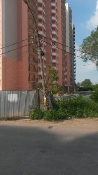 20160716_100446.jpg
