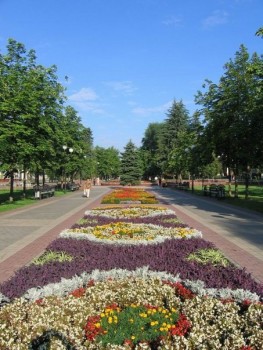 x_a24781b6[1].jpg