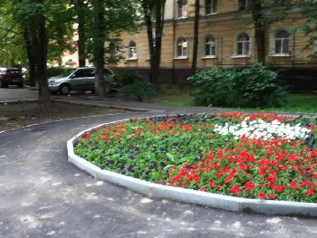 Голую землю не прикрыли