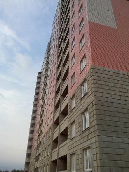 IMG_20160719_175359.jpg