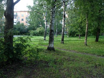 Очень часто во дворах есть закутки- мини- рощицы!