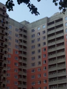 кидают мусор