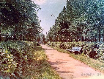 У лодочной станции в парке