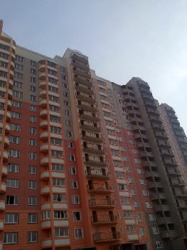 человек))) их там было больше просто спрятались))