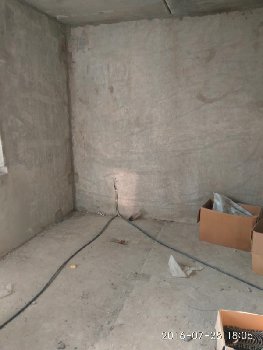 IMG_20160728_180534.jpg