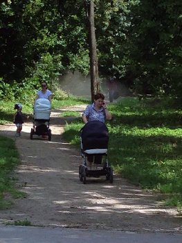 ушка гонит колясочников из парка.jpg