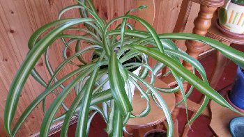20160804_152127.jpg