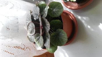 20160804_152133.jpg