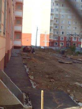 IMG_20160807_151002.jpg