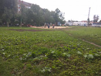 IMG_20160816_115211.jpg