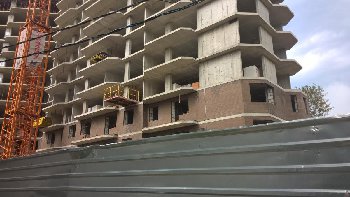 WP_20160818_12_50_34_Pro.jpg