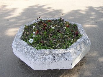 Июнь