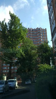 IMG_20160825_084958.jpg
