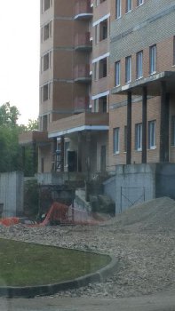 IMG_20160825_084548.jpg
