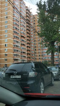 IMG_20160908_114558.jpg