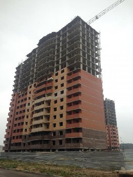 IMG_6736.JPG