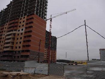 P1020386.JPG
