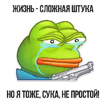 frog.jpg