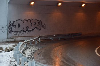 DSC_0922.JPG