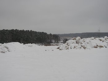 P1010631.JPG