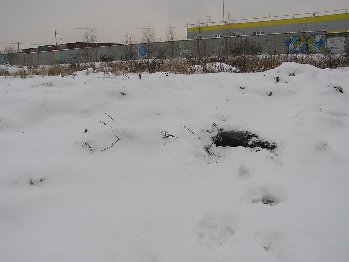 P1010640.JPG