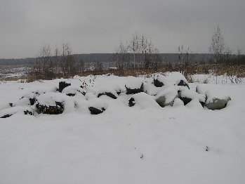 P1010637.JPG