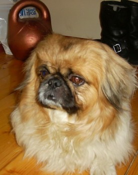 дорогу осилит идущий