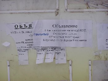 P1010656.JPG