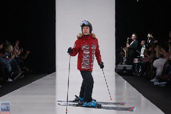 12728760.jpg