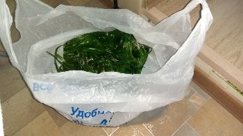 IMG_20170108_191040.jpg
