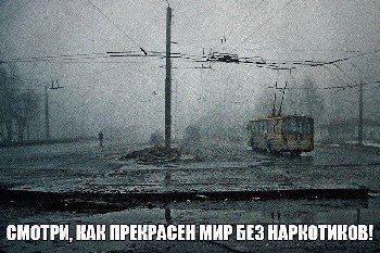 13889189565505.jpg