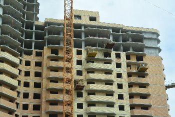 DSC_1167.JPG