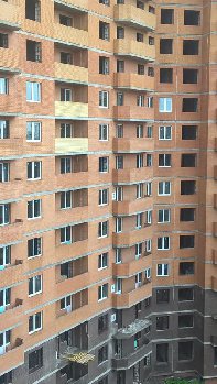 окна 4ой секции. вид со двора