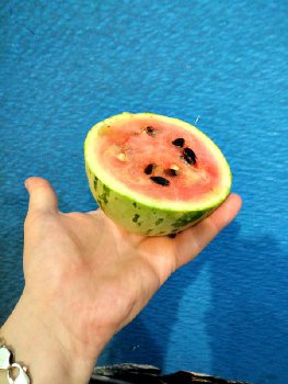 IMG_20170905_215033_HDR.jpg