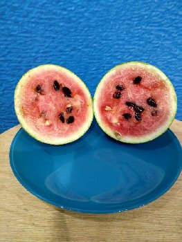 IMG_20170905_214919_HDR.jpg