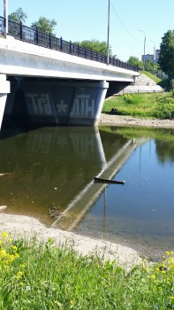 20180529_090152.jpg