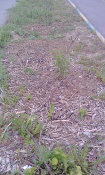 2018-06-09 17-44-43.JPG