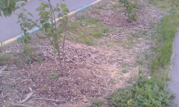 2018-06-09 17-44-17.JPG