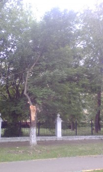 2018-06-09 16-30-17.JPG