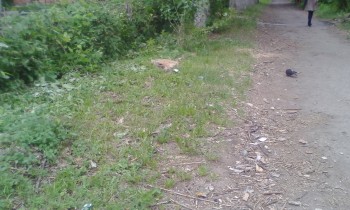 2018-06-09 16-38-13.JPG