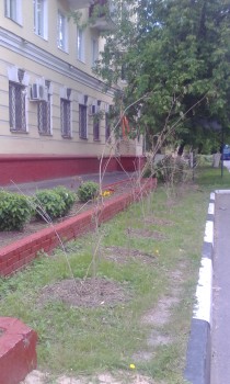 2018-06-09 16-32-49.JPG