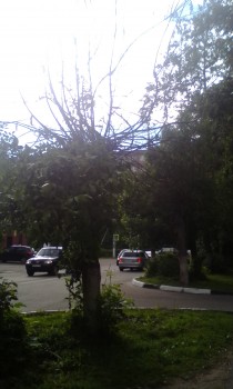 2018-06-09 16-56-11.JPG