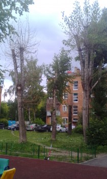 2018-06-09 16-53-17.JPG