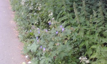 Б. Серпуховская, Железнодорожный