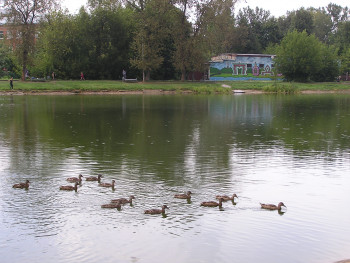 P1010006.JPG