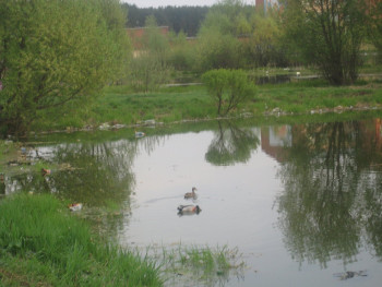 Было как то так...