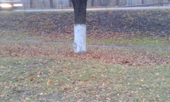 2018-11-01 16-26-37.JPG