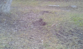 2018-11-11 18-19-17_1541949639726.JPG